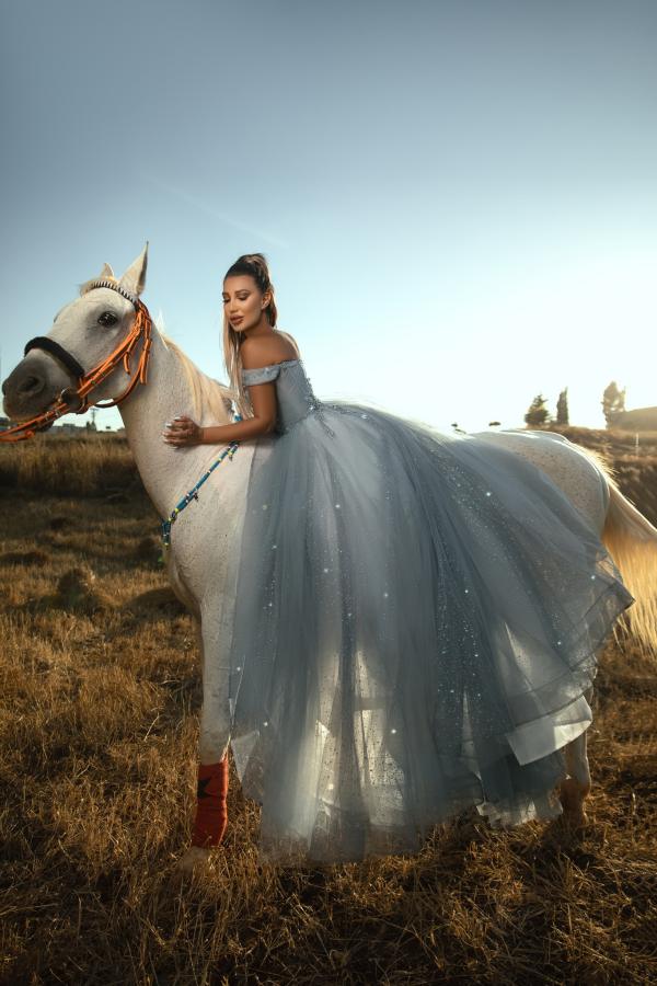 RjerStore A Line Sleeveless V-Neck Rhinestone Floor-Length Tulle Prom Dresses