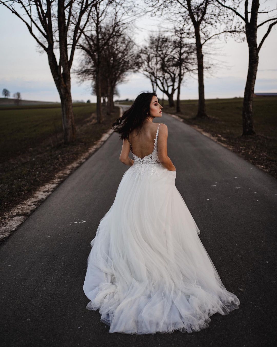 Elegant A-line V-neck Tulle Wedding Dress with Appliques