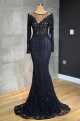 Classic Black Mermaid Prom Dress Long Sleeves Tulle With Sequins