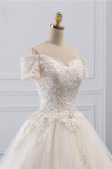 Elegant Off-the-Shoulder Princess Wedding Gown in Tulle with Lace Appliques