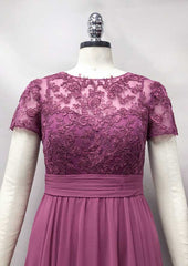 Sheath/Column Long/Floor-Length Chiffon Mother of the Bride Dress with Embroidery Pleated