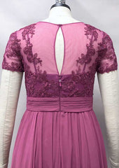 Sheath/Column Long/Floor-Length Chiffon Mother of the Bride Dress with Embroidery Pleated