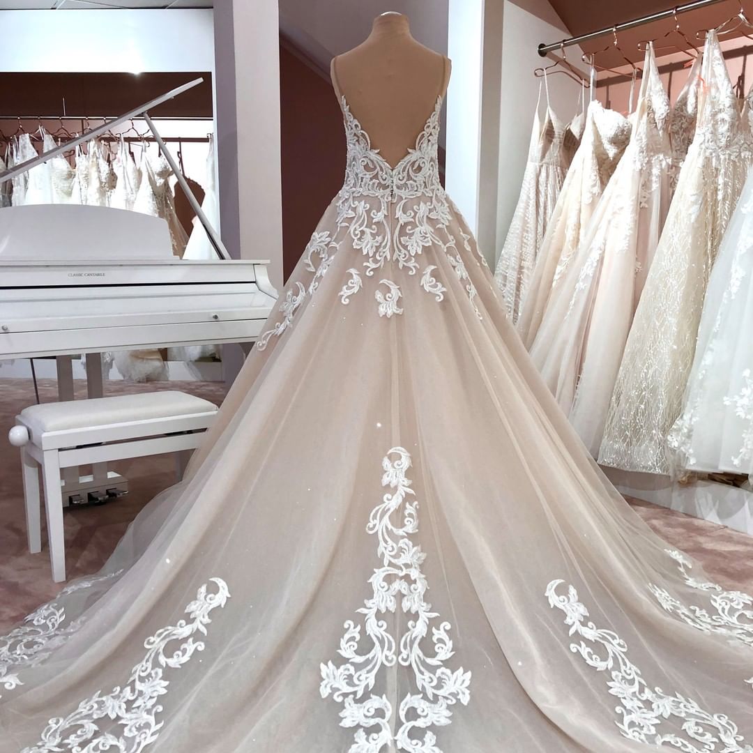 Elegant V-neck A-Line Wedding Gown with Spaghetti Straps, Backless Design, and Appliques Lace Tulle