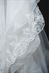 Elegant Long Sleeve Ruffled Ball Gown Wedding Dress Featuring Lace Appliques