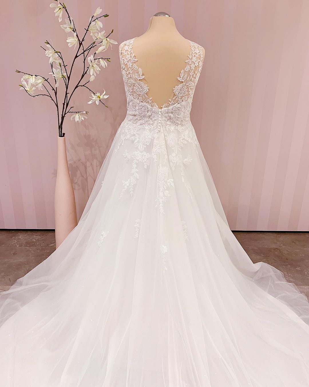 Elegant Backless V-neck A-Line Wedding Gown with Lace Appliques