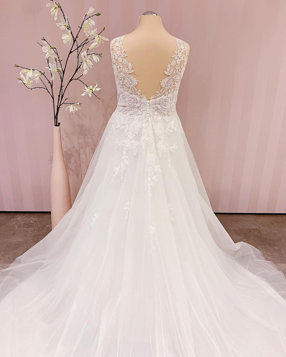 Elegant Backless V-neck A-Line Wedding Gown with Lace Appliques