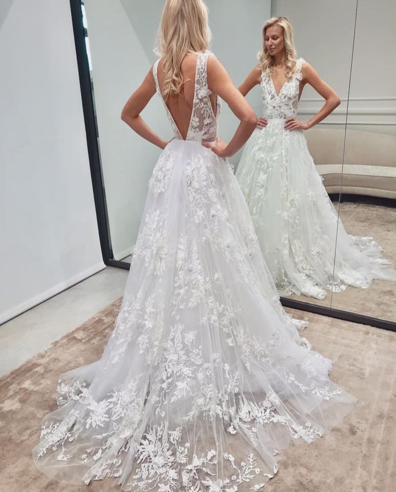 Elegant Backless V-neck A-line Bridal Gown in Tulle Lace
