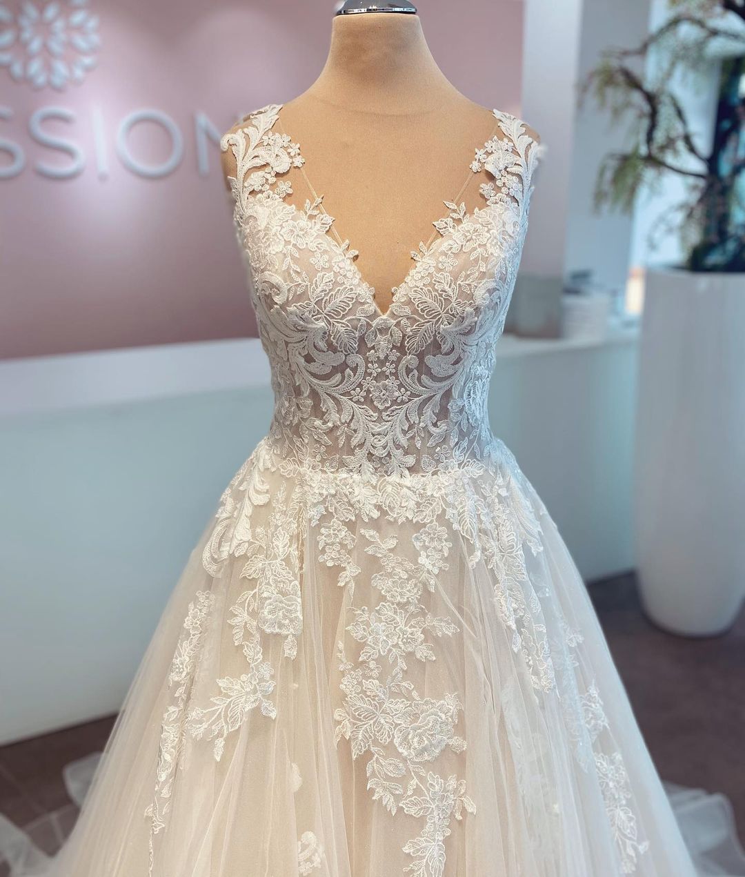 Elegant V-neck A-line Tulle Wedding Gown Featuring Lace