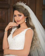 Elegant Princess V-neck Bridal Gown Featuring Tulle Lace