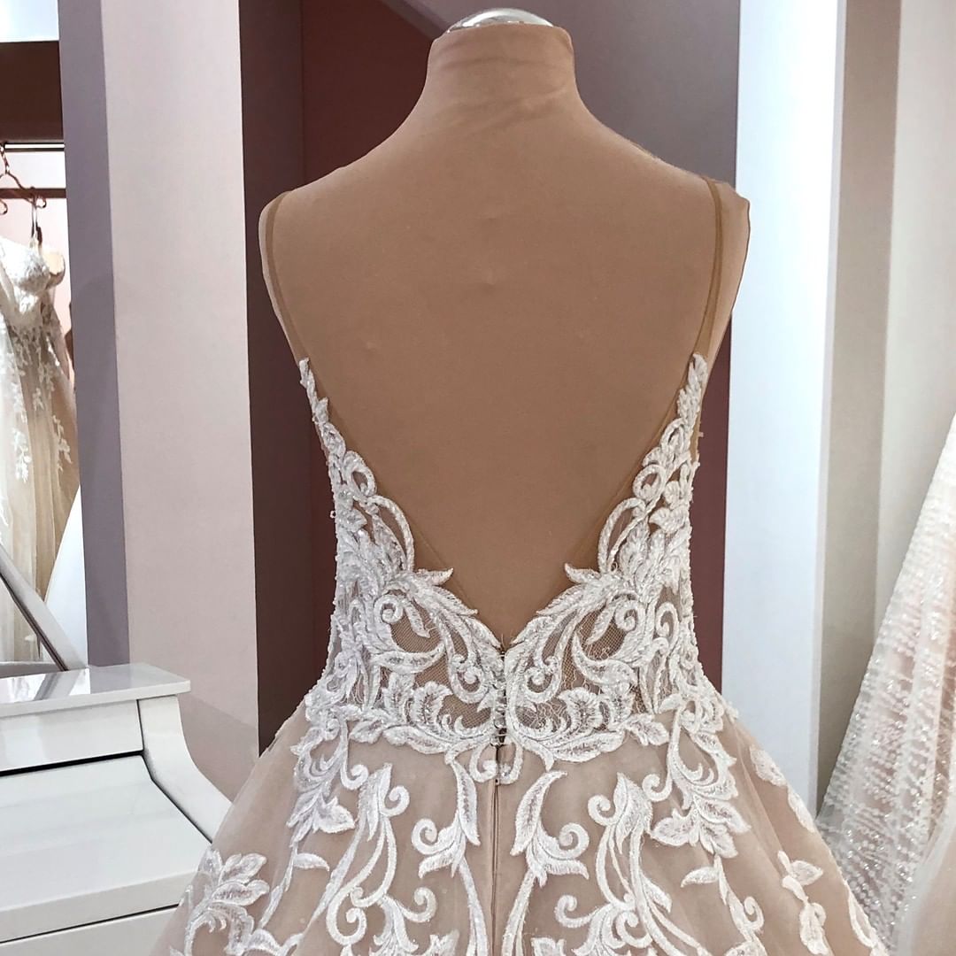 Elegant V-neck A-Line Wedding Gown with Spaghetti Straps, Backless Design, and Appliques Lace Tulle