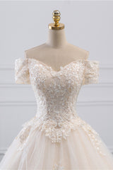 Elegant Off-the-Shoulder Princess Wedding Gown in Tulle with Lace Appliques