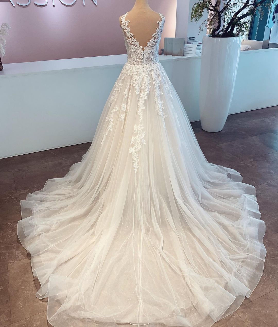 Elegant V-neck A-line Tulle Wedding Gown Featuring Lace