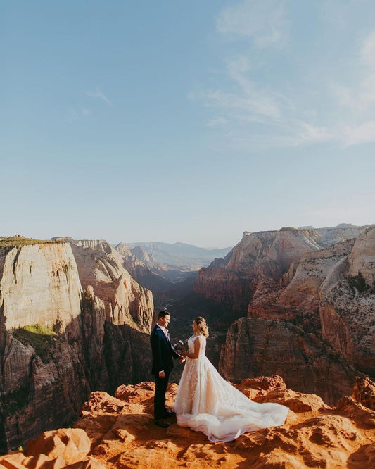 Elegant V-Neck A-Line Wedding Gown with Lace Appliques and Tulle Train